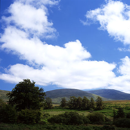 Glen of Imail, County of Wicklow, Ierland