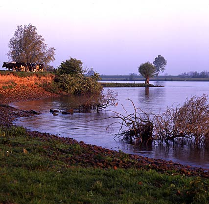 Lexmond, Nederland