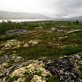 Dovrefjell and Rondane